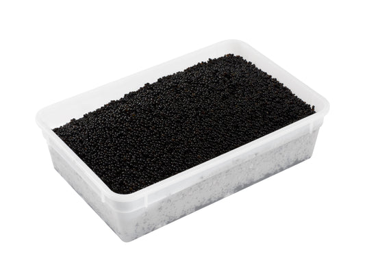 Sushi Caviar Black